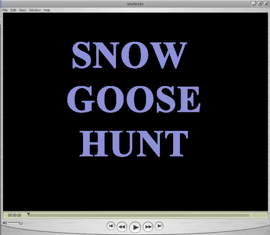 SD snow goose hunting guides